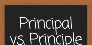 Principal Vs Principle