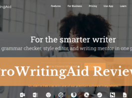 Prowritingaid Review