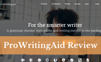 Prowritingaid Review