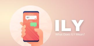 featured image of ILY meaning from Capitalize My Title