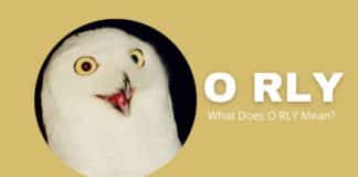 featured image of Capitalize My Title's O RLY meaning guide