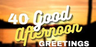 Capitalize My Title's Good Afternoon greetings featured image