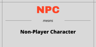 Npc Meaning