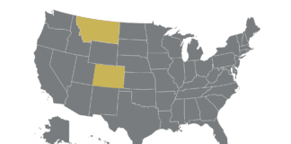 Wordle Users By State