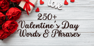 250+ Valentine's Day Words & Phrases