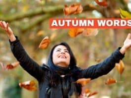 Autumn words featured image from Capitalize My Title.