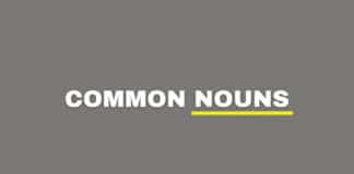 Common nouns featured image from Capitalize My Title.