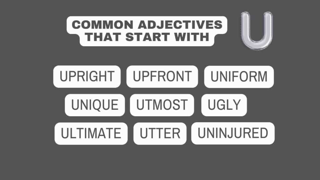 Photo showing some common adjectives that start with U.