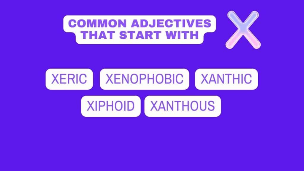 photo showing some common adjectives starting with X