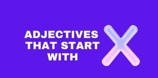 photo showing the featured image for Capitalize My Title's ​​adjectives starting w​​ith X article.