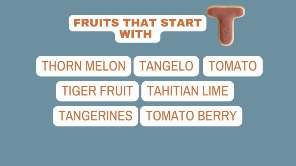 Ai Tfoodst3