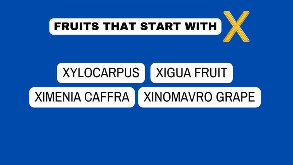 photo showing a list of fruits that start with X.