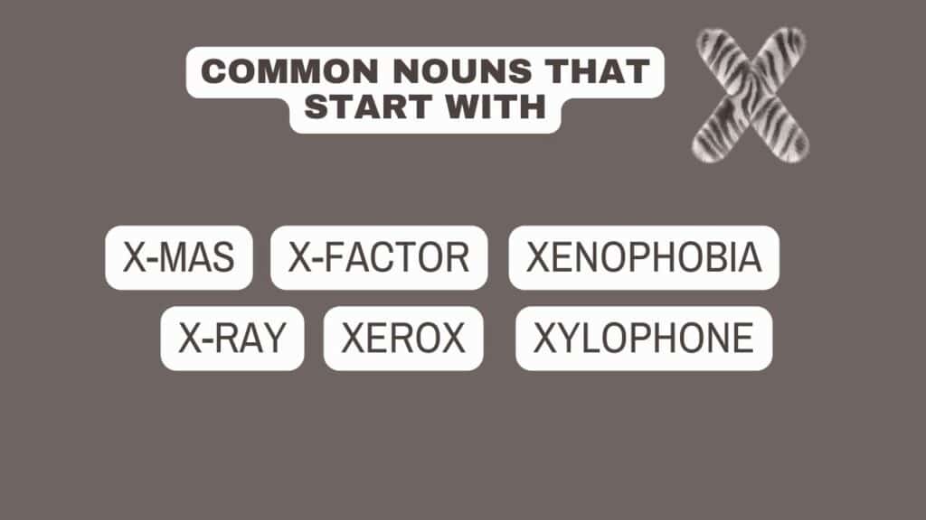 photo showing some common nouns that start with X. 