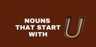 Nouns that start with U featured image from Capitalize My Title.