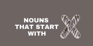 Nouns that start with X featured image from Capitalize My Title.