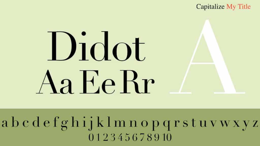 Photo showing didot font for resumes. 