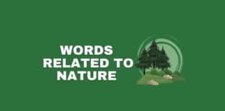 Words related to nature featured image from Capitalize My Title.