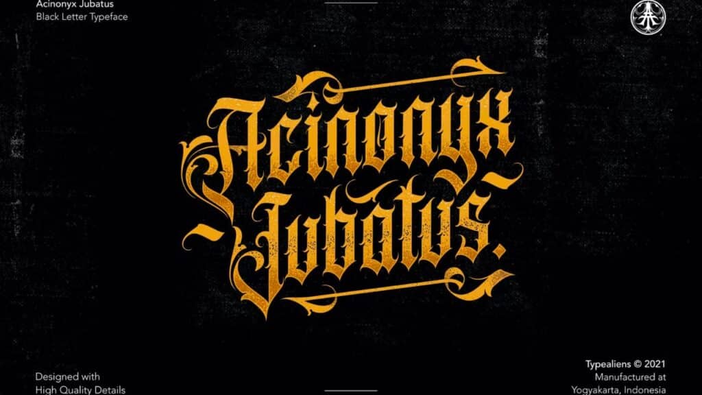 Photo showing the Acinonyx Jubatus font