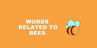 Words related to bees featured image from Capitalize My Title.