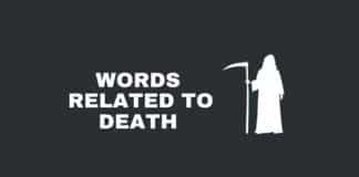 Words related to death featured image from Capitalize My Title.