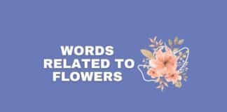 Words related to flowers featured image from Capitalize My Title.