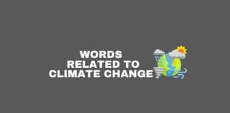 Words related to climate change featured image from Capitalize My Title.