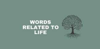 Words related to life featured image from Capitalize My Title.