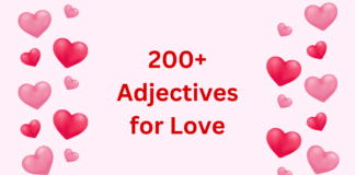 200+ Adjectives For Love