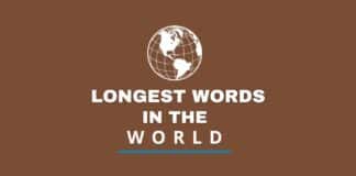 Longest words in the world featured image from Capitalize My Title.