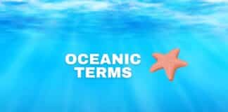 Oceanic terms featured image from Capitalize My Title.