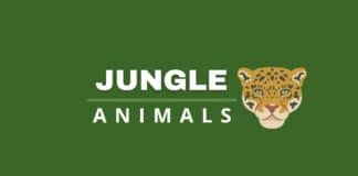 Jungle animals featured image from Capitalize My Title