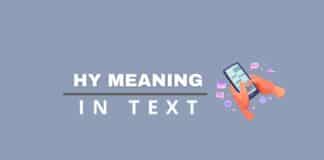 HY meaning in text featured image from Capitalize My Title.