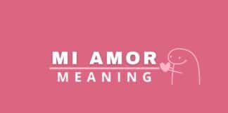 Mi amor meaning featured image from Capitalize My Title.