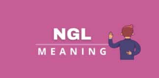 NGL meaning featured image from Capitalize My Title.