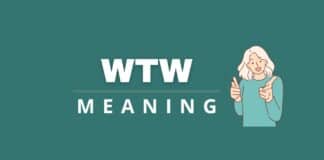 Capitalize My Title's featured image about WTW meaning.