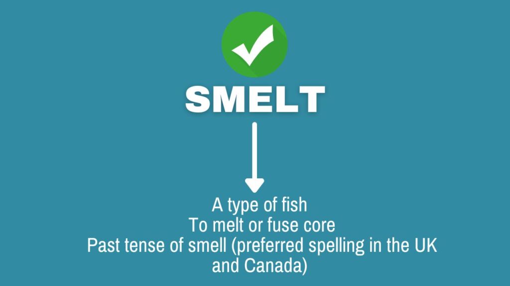 Photo showing the different meanings of the word smelt