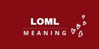 LOML meaning featured image from Capitalize My Title