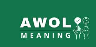 Featured image for Capitalize My Title's AWOL meaning post