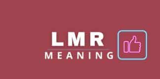Capitalize My Title's LMR meaning featured image.