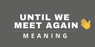 Capitalize My TItle's featured image for until we meet again meaning article