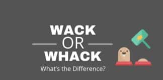 Wack of whack featured image from Capitalize My Title