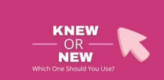 Knew or new featured image from Capitalize My Title.