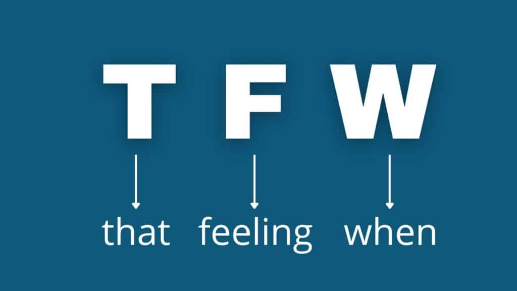 Photo showing what TFW stands for, which is that feeling when. 