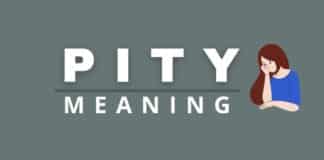 Capitalize My Title's featured image for pity meaning post.