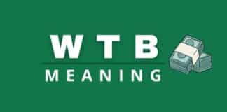 Capitalize My Title's WTB meaning featured image.
