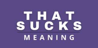 That sucks meaning featured image from Capitalize My Title.
