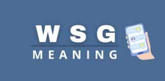 WSG meaning featured image from Capitalize My Title.