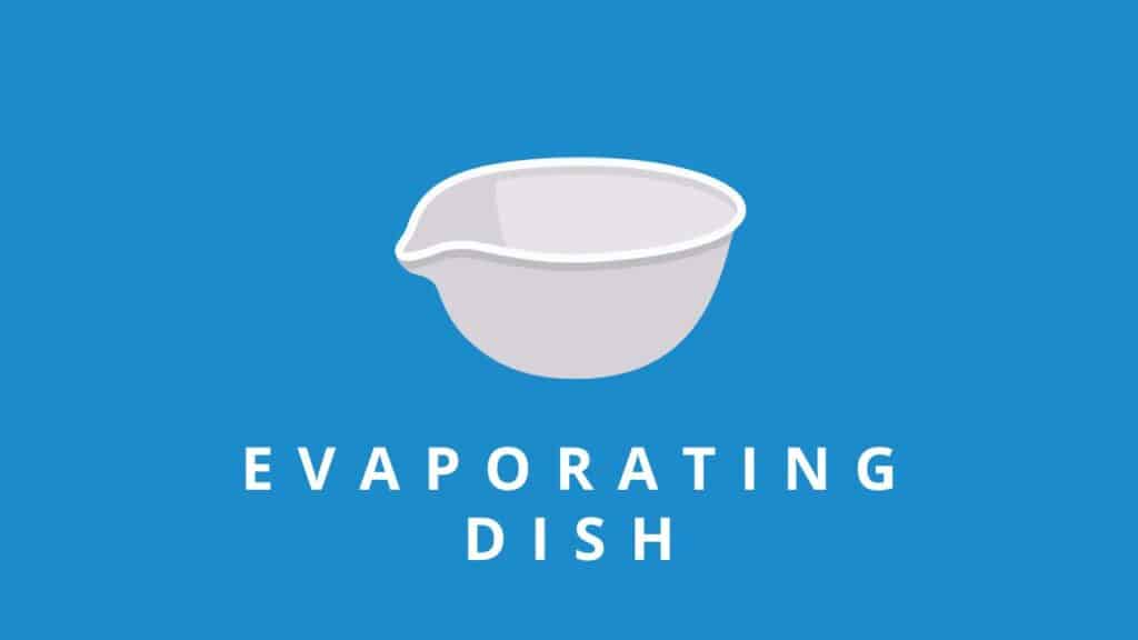 Photo of an evaporating dish for Capitalize My Title's lab equipment names