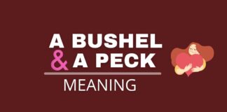 Featured image for Capitalize My TItle's post about a bushel and a peck meaning