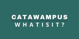 Catawampus featured image from Capitalize My Title.